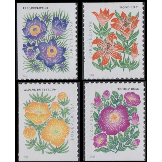 2022 US Mountain Flora Forever Stamps 2022 US Mountain Flora Forever Stamps