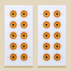 100 pcs -2022 US Global African Daisy Forever Stamps